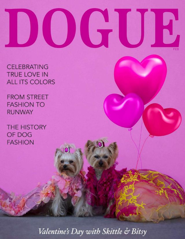 Magzter GOLD ile Sınırsız Olun