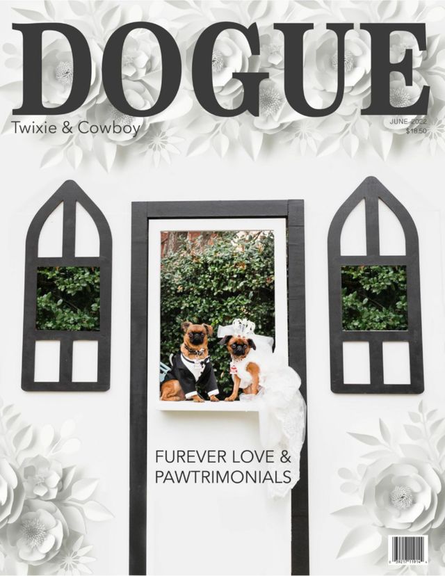 استمتع بـUnlimited مع Magzter GOLD