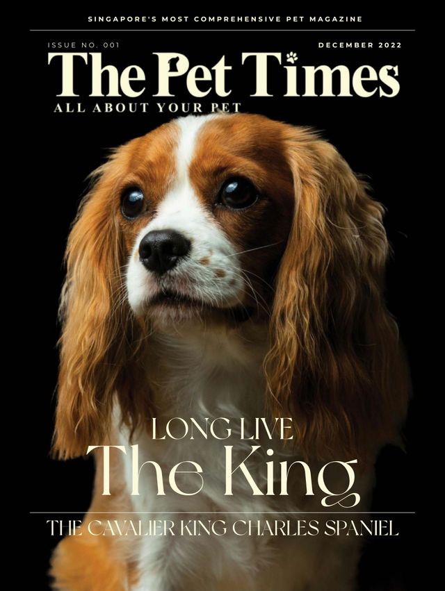 The Pet Times