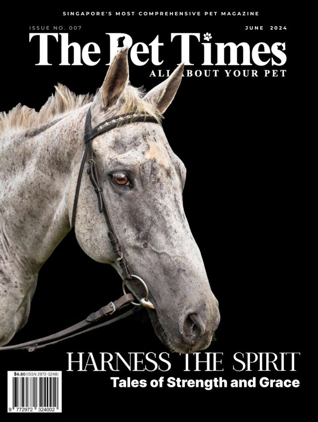 The Pet Times