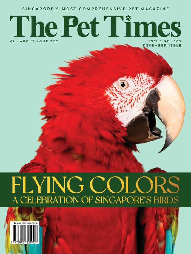 The Pet Times