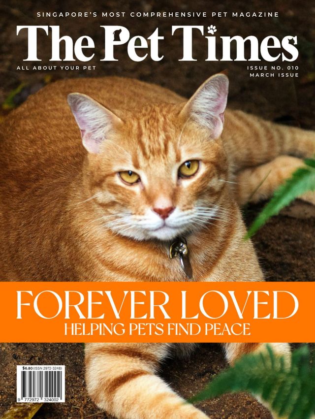 The Pet Times