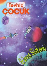 Güneş Sistemi, Sayı 8