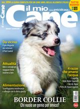Il mio Cane