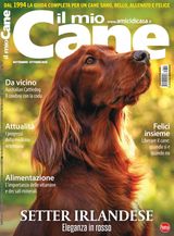 Il mio Cane