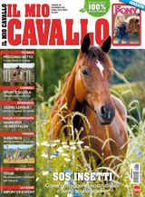 Il Mio Cavallo