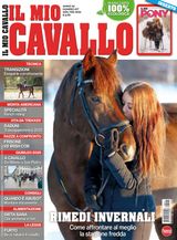 Il Mio Cavallo