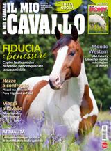 Il Mio Cavallo