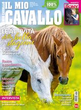 Il Mio Cavallo