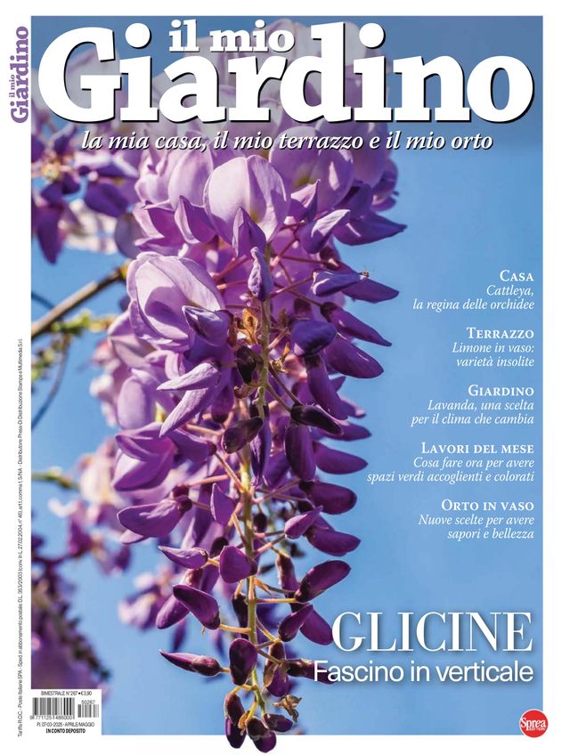 Il Mio Giardino