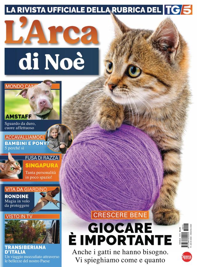 L'Arca di Noè