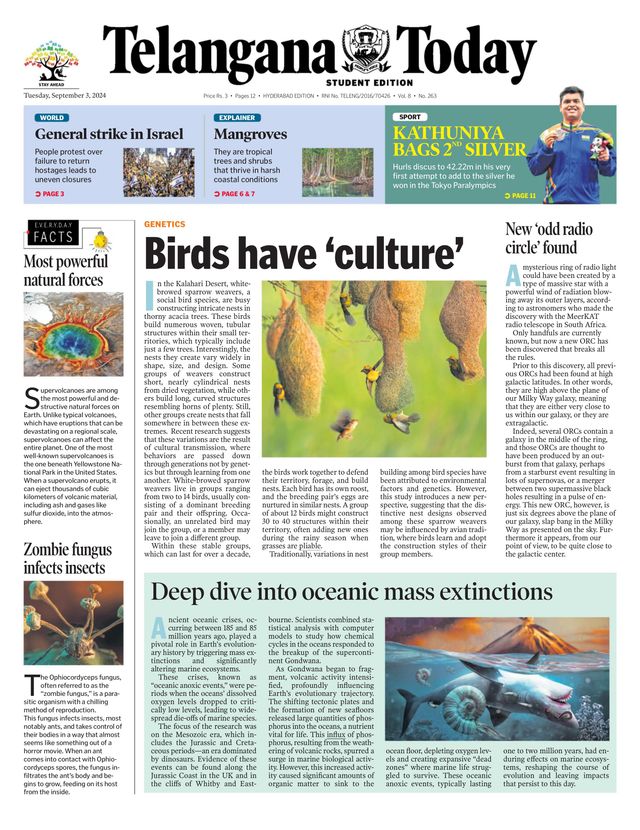 Go Unlimited with Magzter GOLD