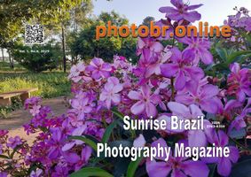 Sunrise Brazil Photography Magazine