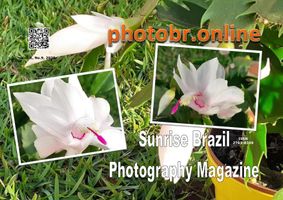 Sunrise Brazil Photography Magazine