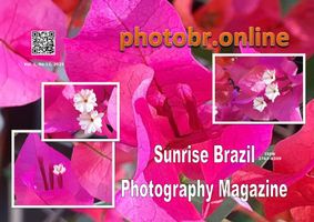 Sunrise Brazil Photography Magazine