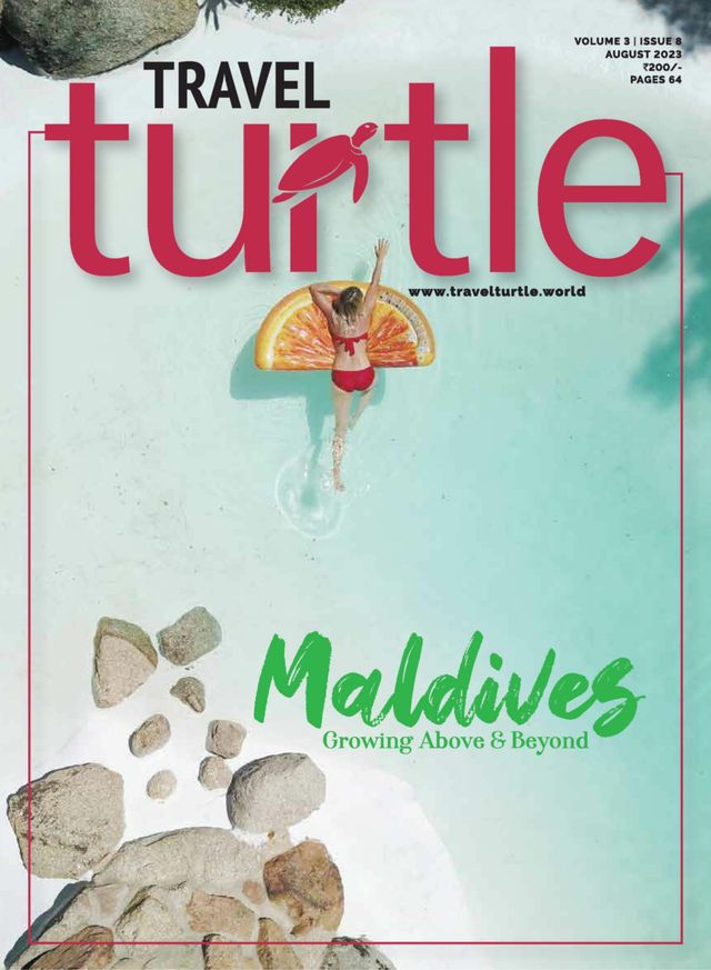 Travel Turtle