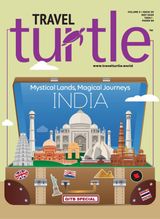 Travel Turtle