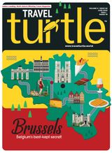 Travel Turtle
