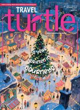 Travel Turtle