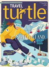 Travel Turtle