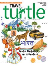 Travel Turtle