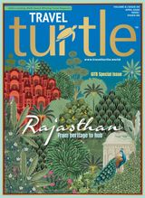 Travel Turtle