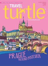 Travel Turtle
