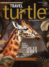 Travel Turtle