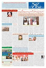 Salar Urdu Hubli