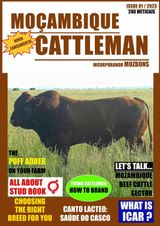 Issue 01/2023