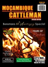 Mozambique Cattleman