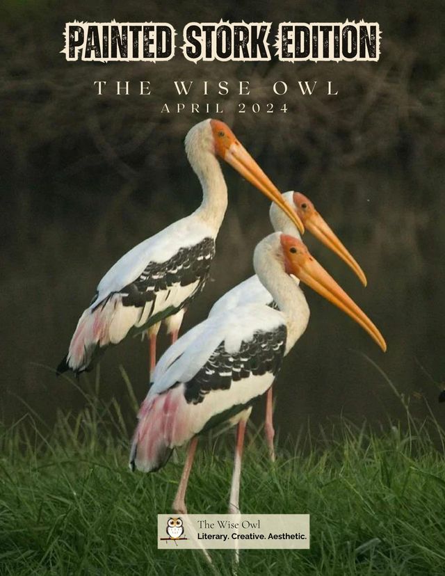 The Wise Owl