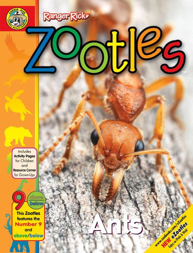 Mit Magzter GOLD unbegrenztes Potenzial nutzen