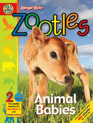 Ranger Rick Zootles Animal Babies - Book Ranger Rick Zootles Animal Babies Cover - Book Edition