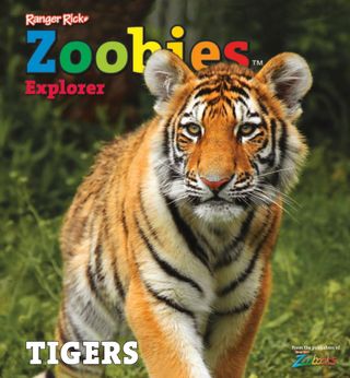 Zoobies Explorer TIGERS - Book Zoobies Explorer TIGERS Cover - Book Edition