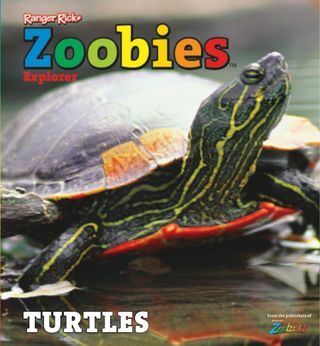 Zoobies Explorer TURTLES - Book Zoobies Explorer TURTLES Cover - Book Edition