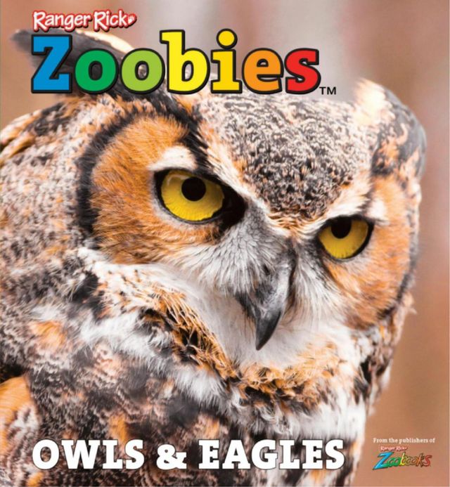 Zoobies OWLS & EAGLES