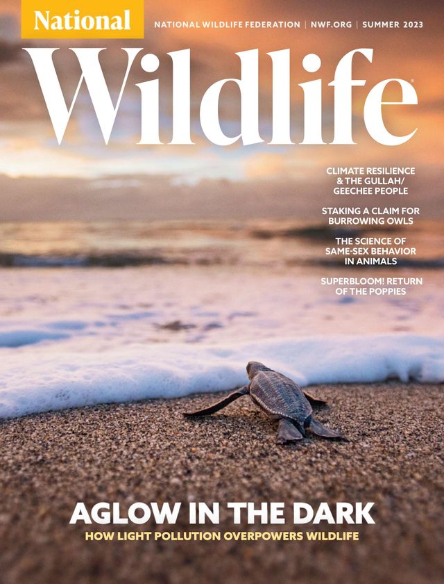 National Wildlife