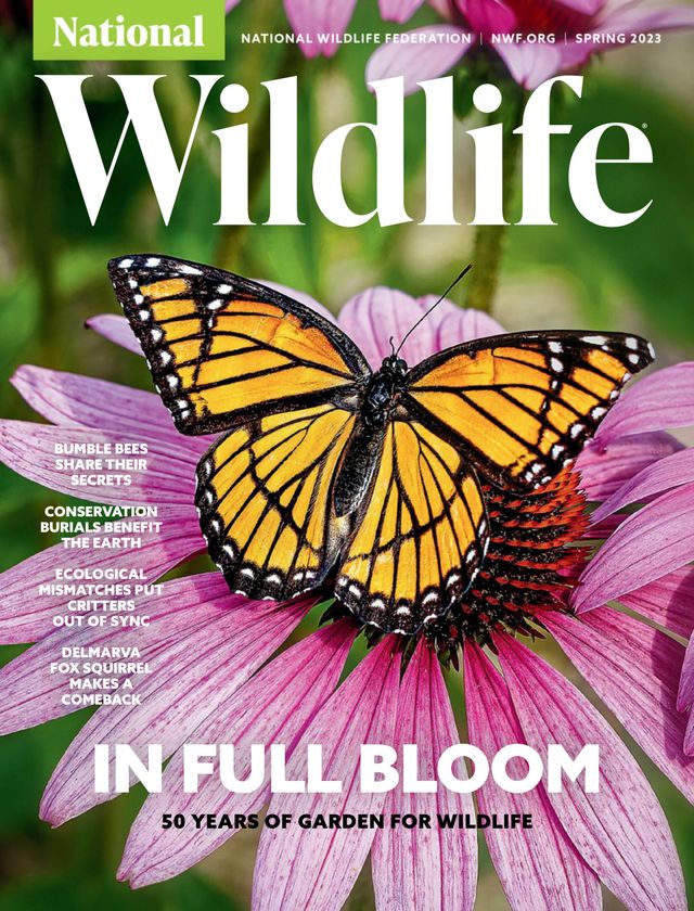 National Wildlife