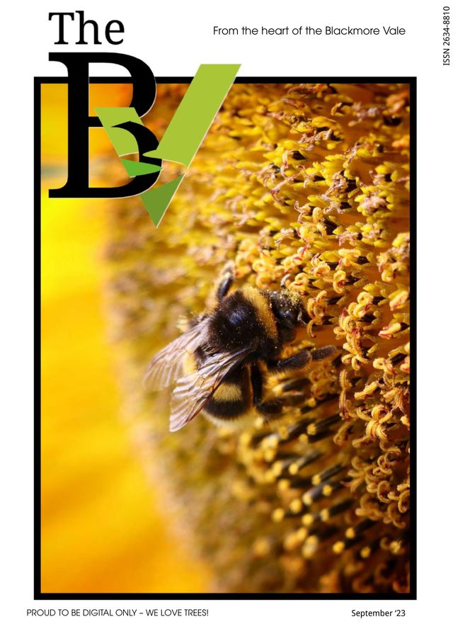 The BV Magazine
