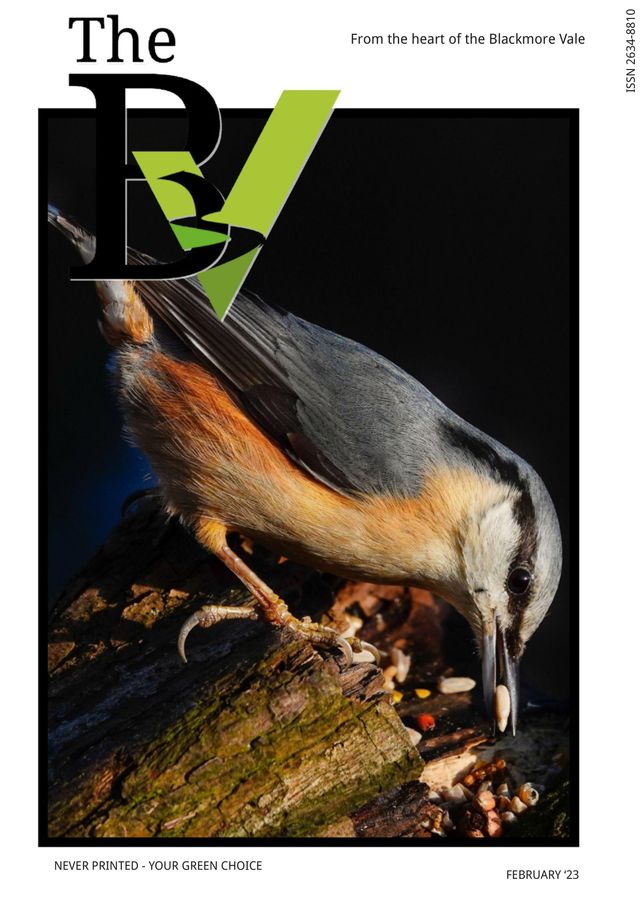 The BV Magazine