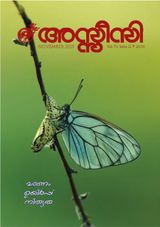 Assisi Magazine Assisi Magazine
