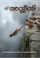 Assisi Magazine