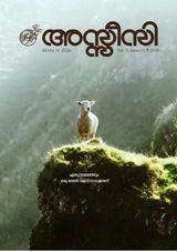 Assisi Magazine