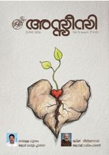Assisi Magazine