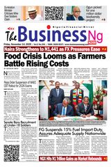 The BusinessNG 