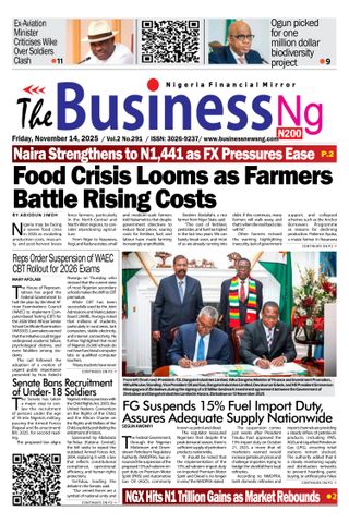 The Business NG