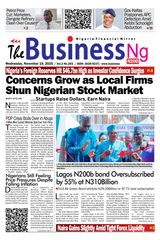 The BusinessNG 