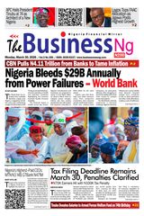 BusinessNg 