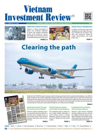 Vietnam Investment Review